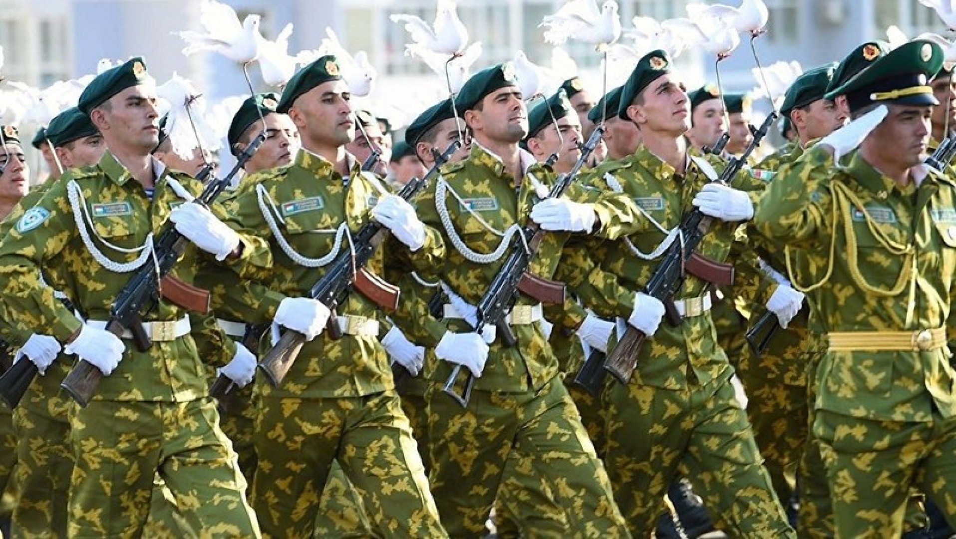 Bologna